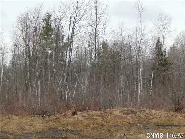 $74,900 | 24365 Hickey Road, Wilna, NY 13619