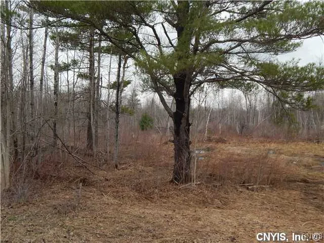 $74,900 | 24365 Hickey Road, Wilna, NY 13619