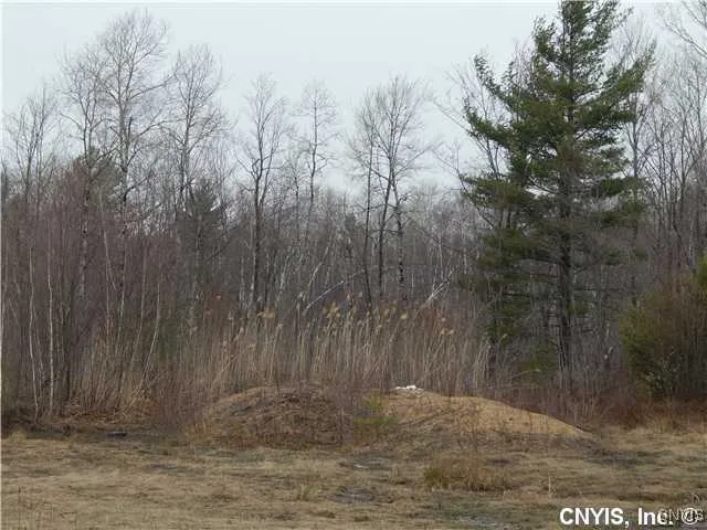 $74,900 | 24365 Hickey Road, Wilna, NY 13619