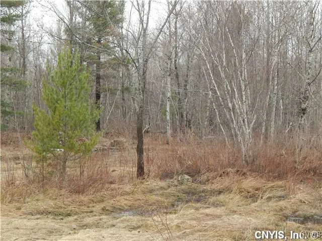 $74,900 | 24365 Hickey Road, Wilna, NY 13619