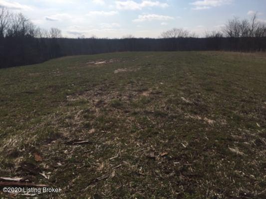 45 Wright's Ridge Road Milton, KY 40045 - Photo 1 of 14 IMG_5262