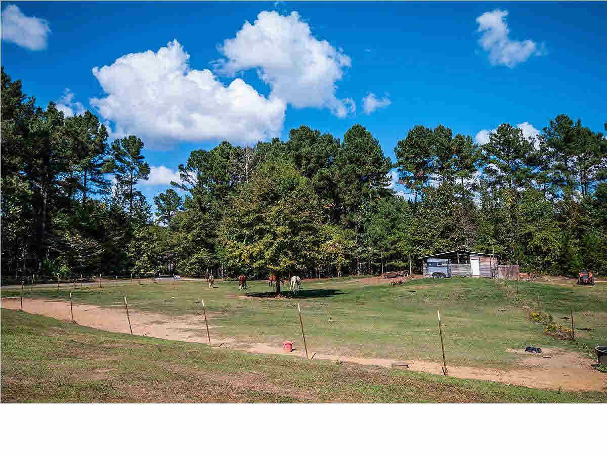 656 Trickham Bridge Road Brandon, MS 39042 - Photo 27 of 28 fenced acreage is approx. 4 acres