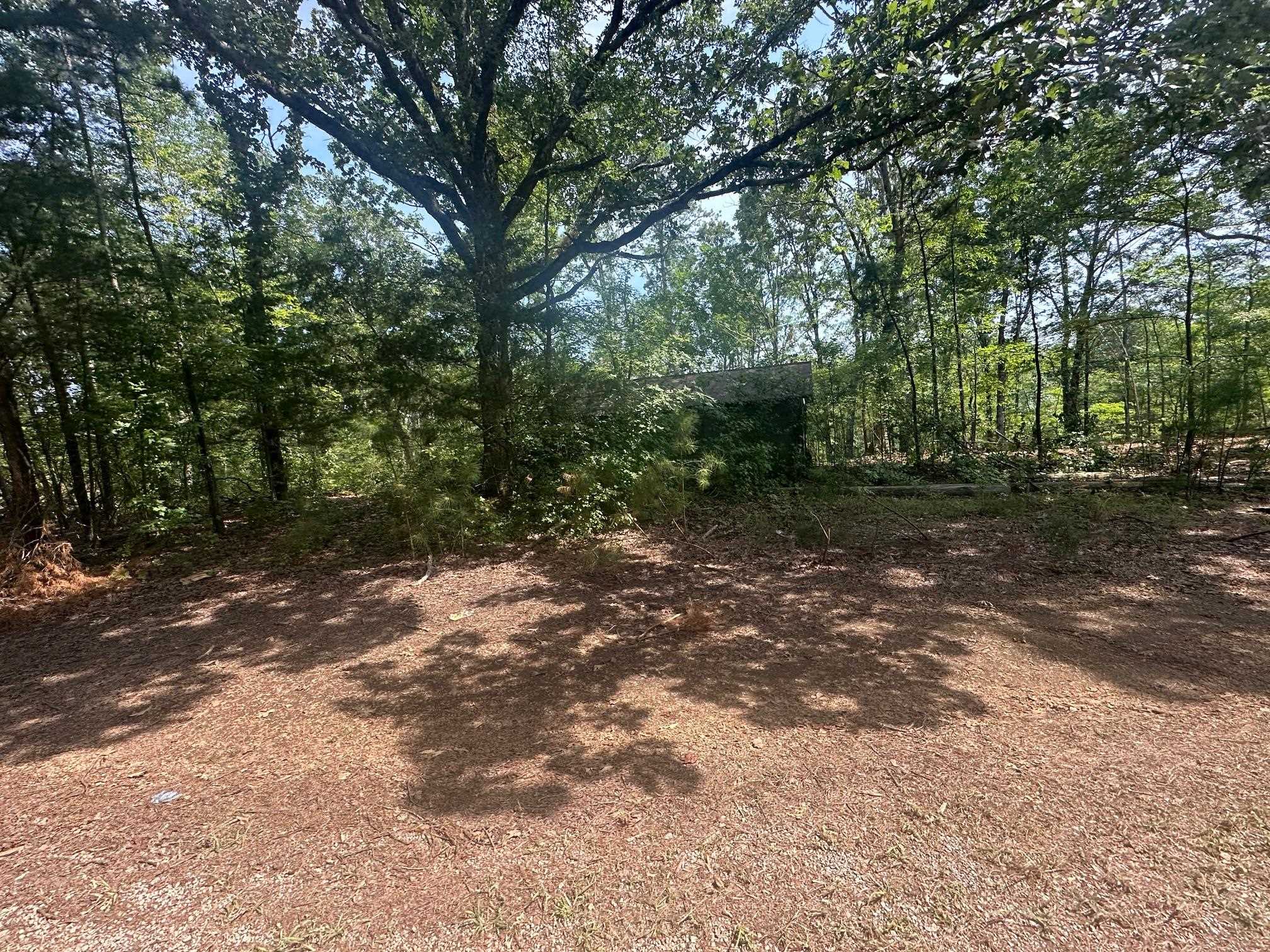 2 Talley Road Hornsby, TN 38044 - Photo 11 of 21 View of landscape