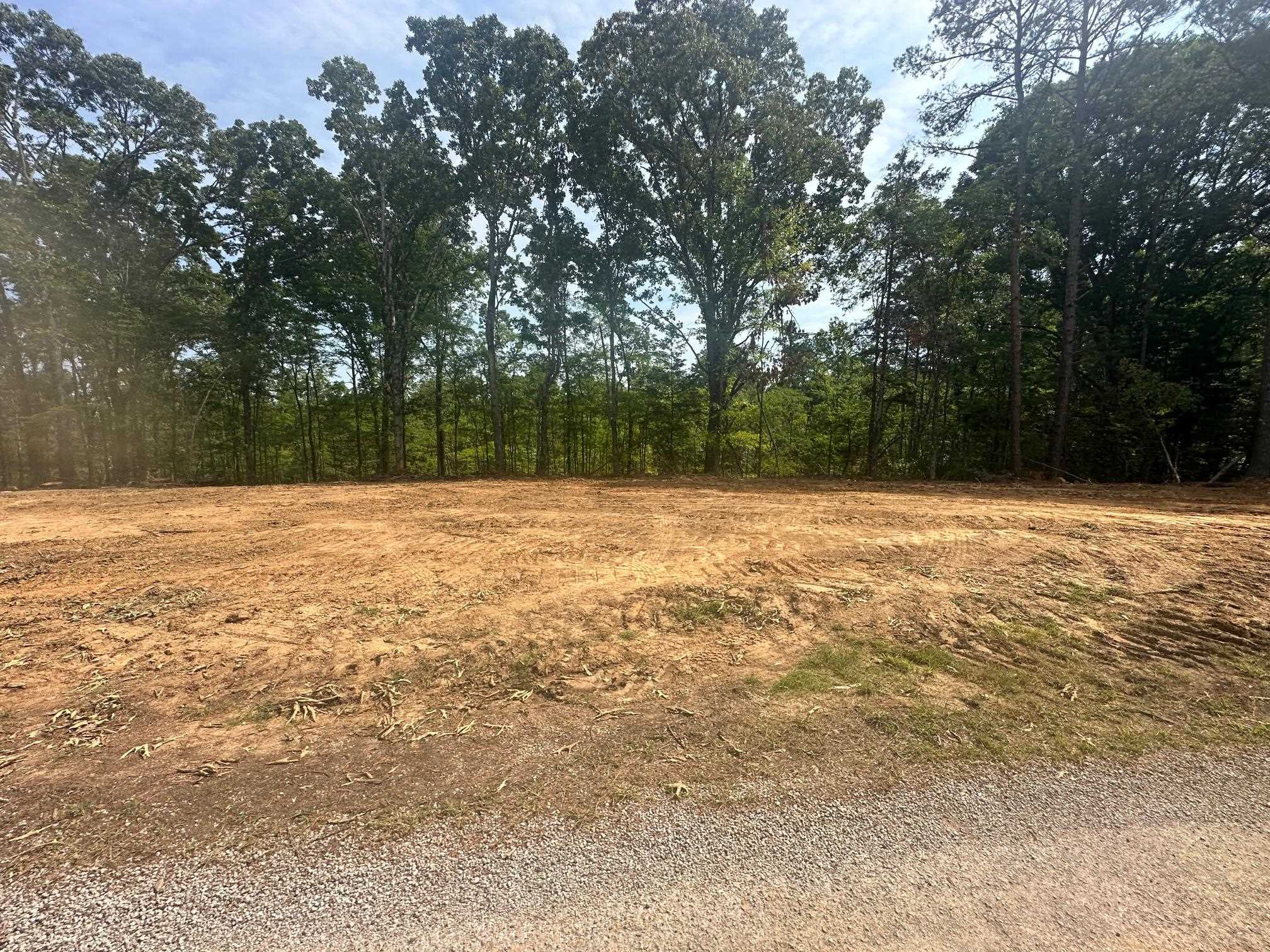 2 Talley Road Hornsby, TN 38044 - Photo 13 of 21 View of nature