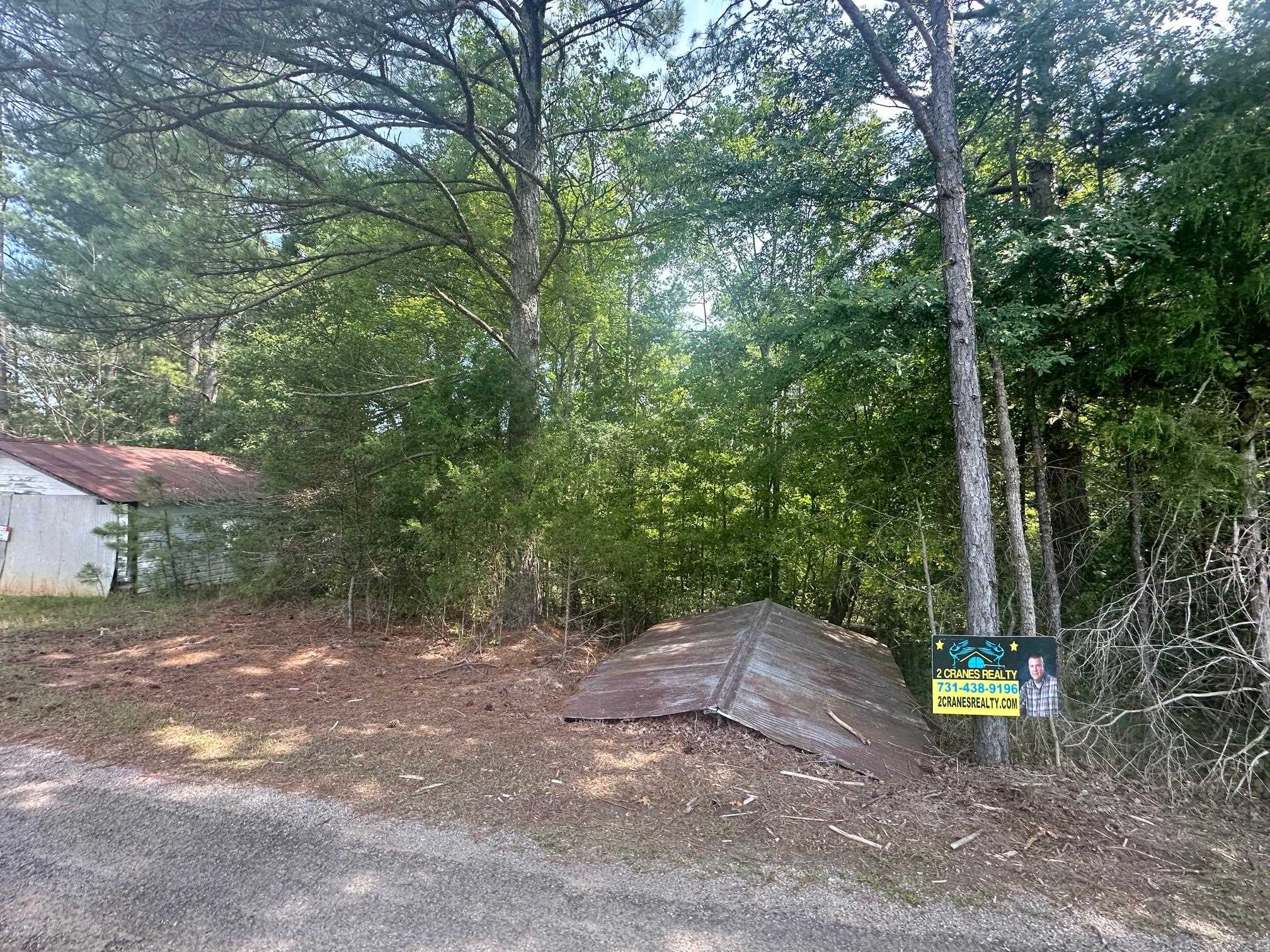 2 Talley Road Hornsby, TN 38044 - Photo 16 of 21 View of yard