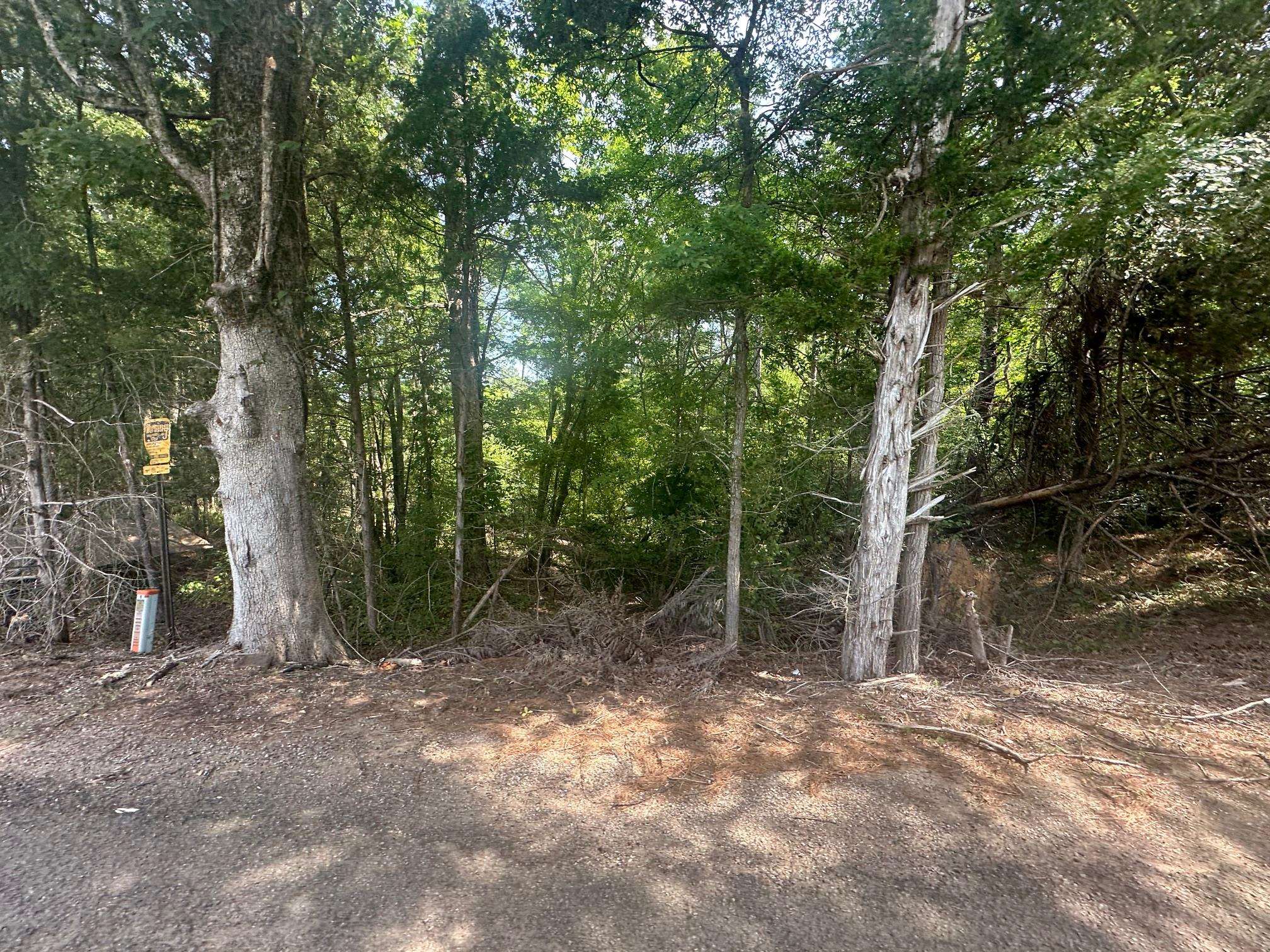 2 Talley Road Hornsby, TN 38044 - Photo 17 of 21 View of nature