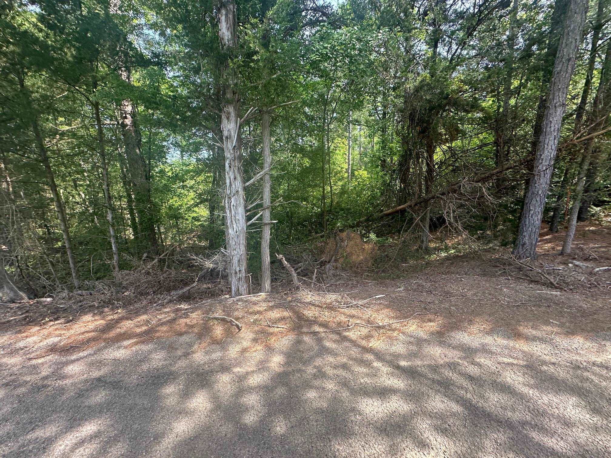 2 Talley Road Hornsby, TN 38044 - Photo 18 of 21 View of local wilderness
