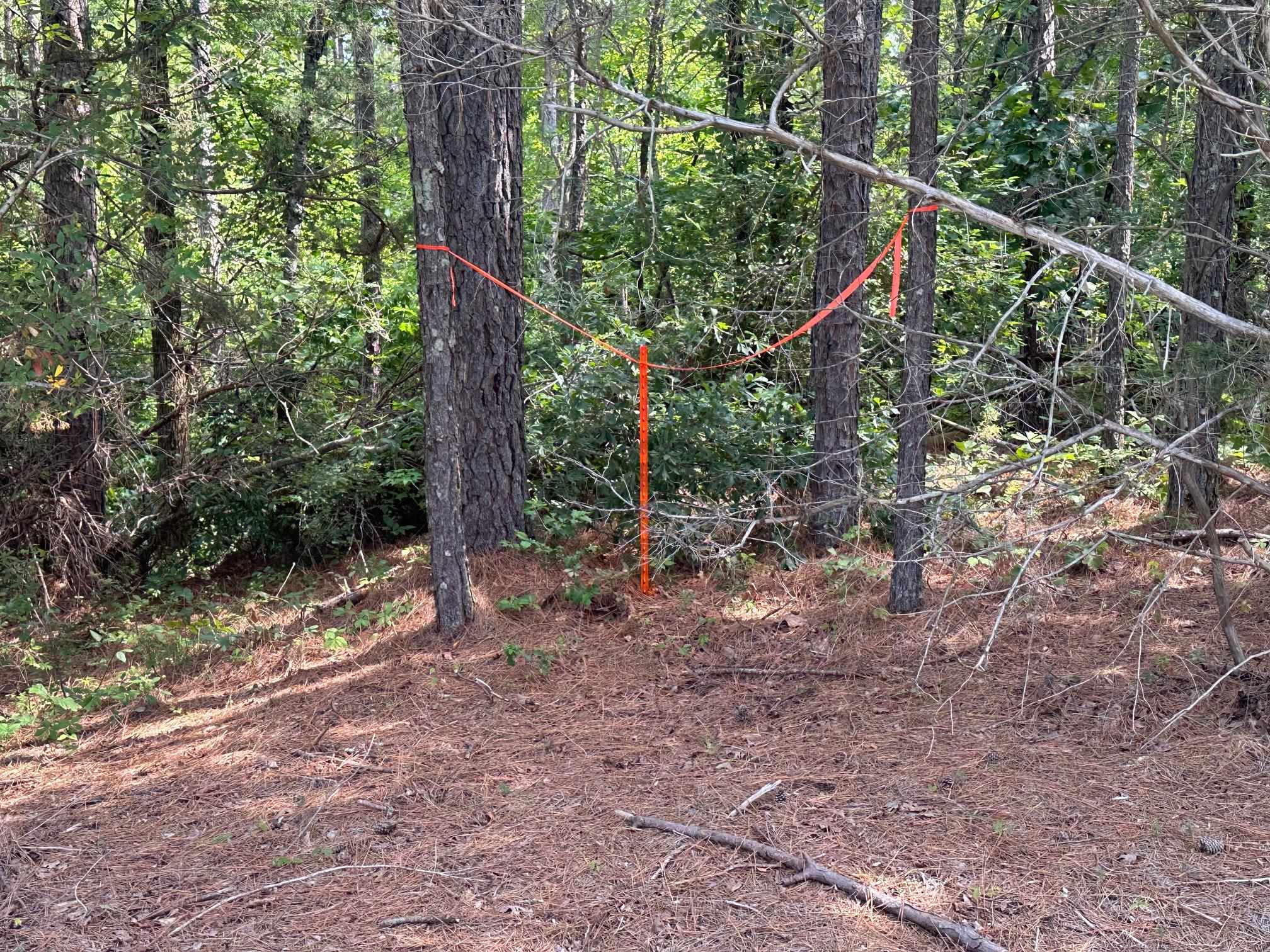 2 Talley Road Hornsby, TN 38044 - Photo 19 of 21 View of landscape