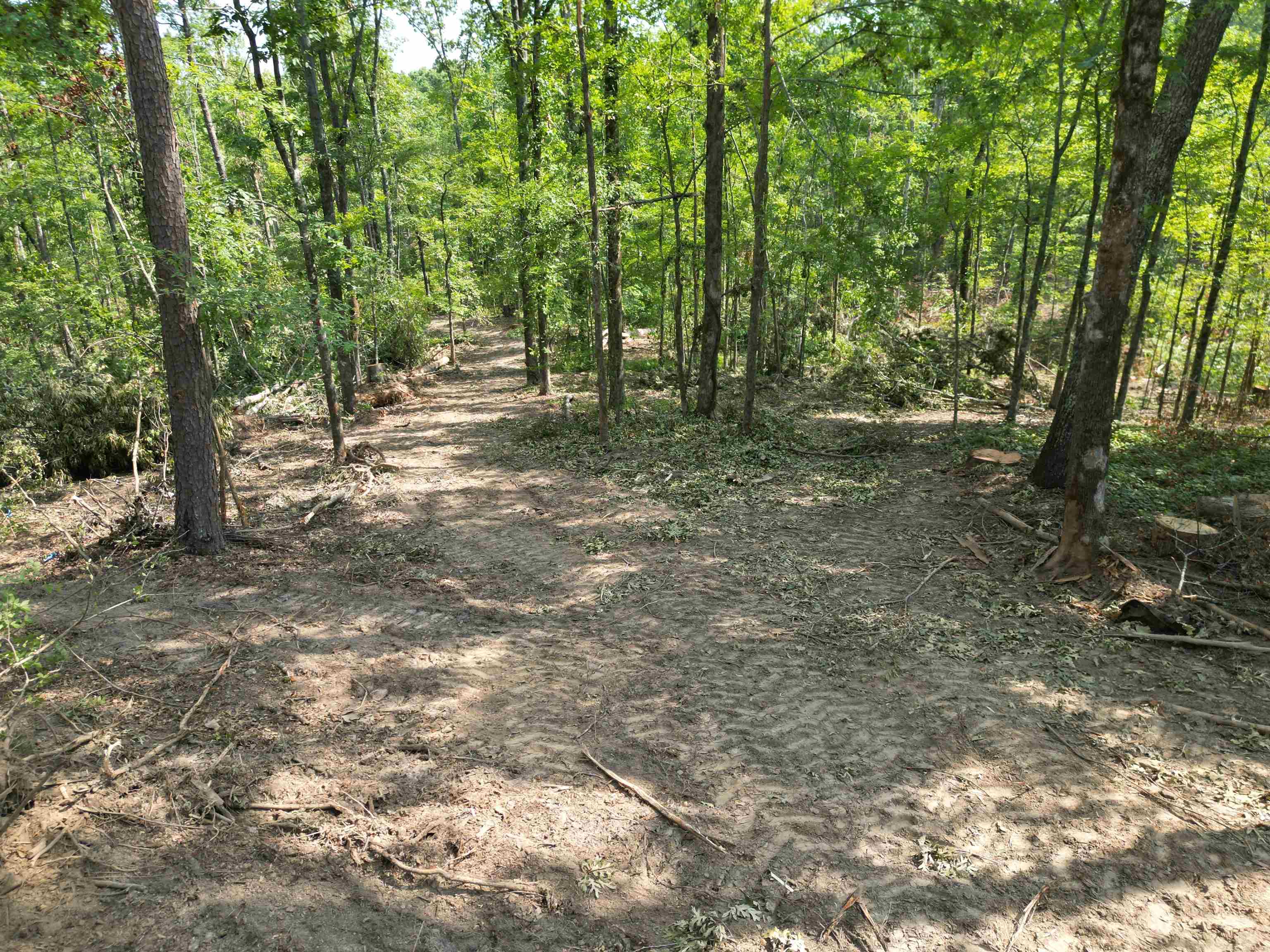 2 Talley Road Hornsby, TN 38044 - Photo 4 of 21 View of landscape