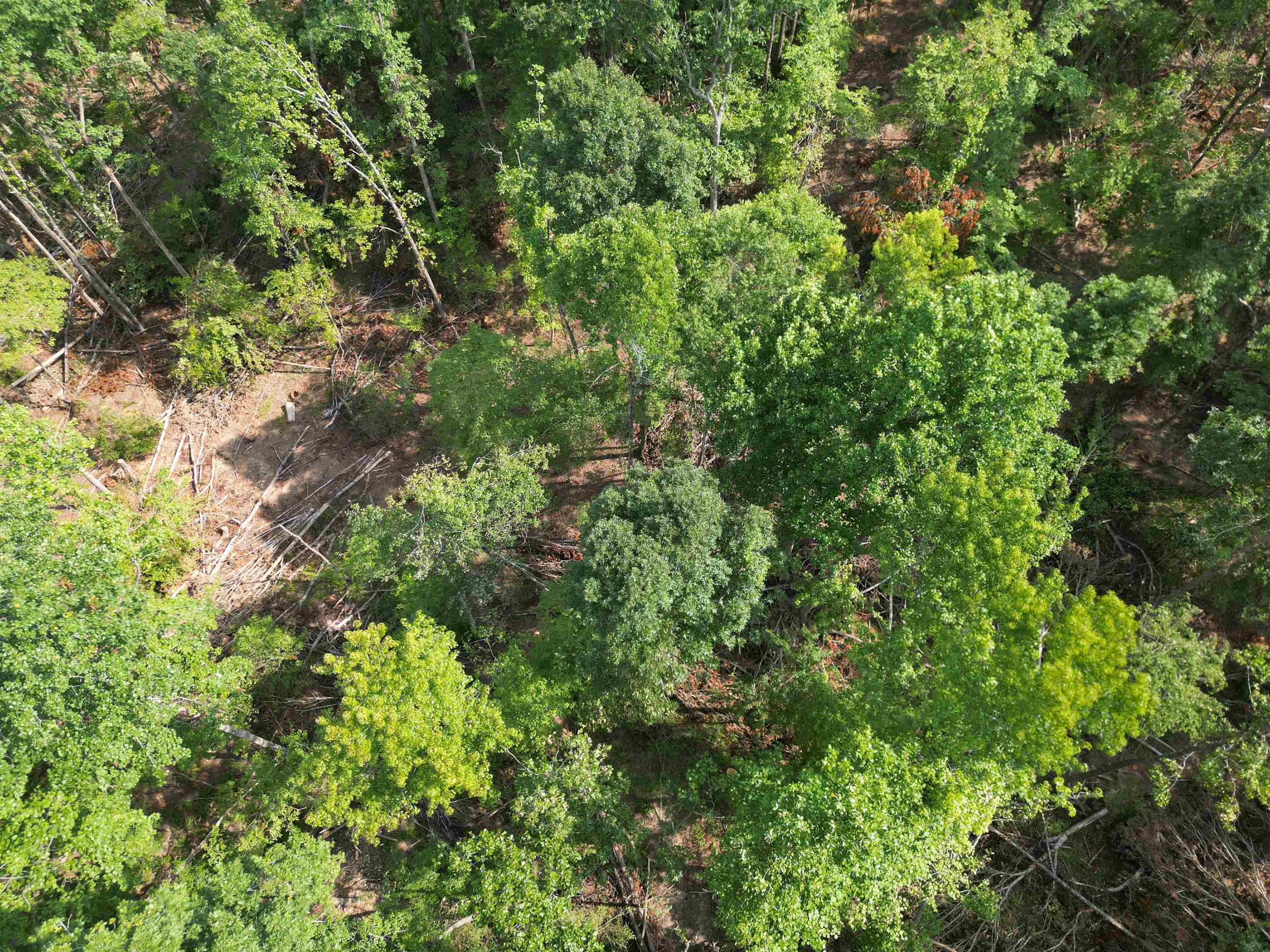 2 Talley Road Hornsby, TN 38044 - Photo 7 of 21 Bird's eye view