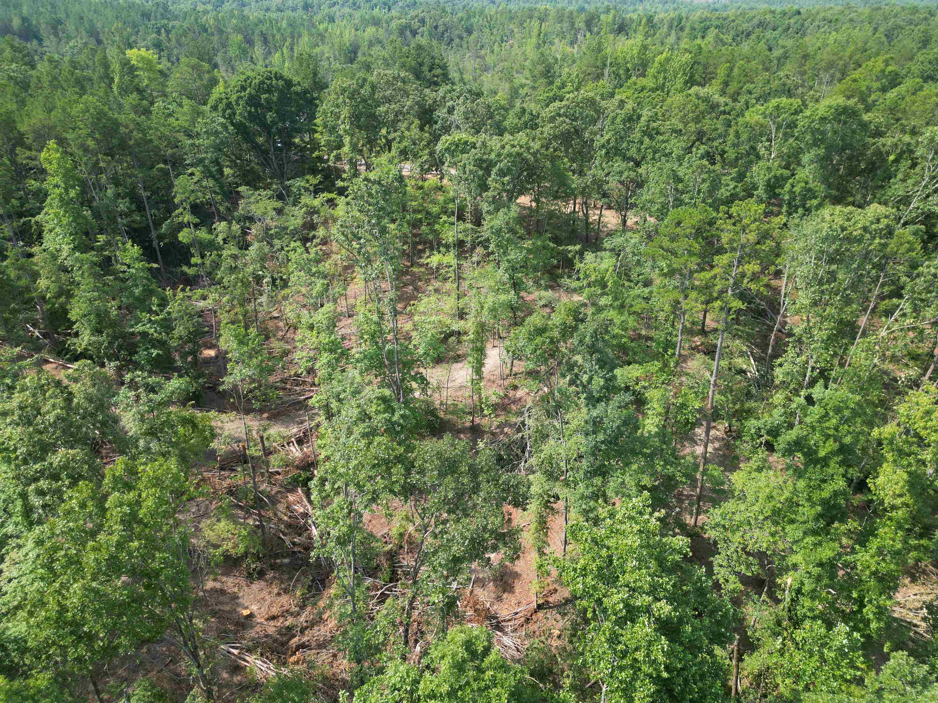 2 Talley Road Hornsby, TN 38044 - Photo 8 of 21 Drone / aerial view