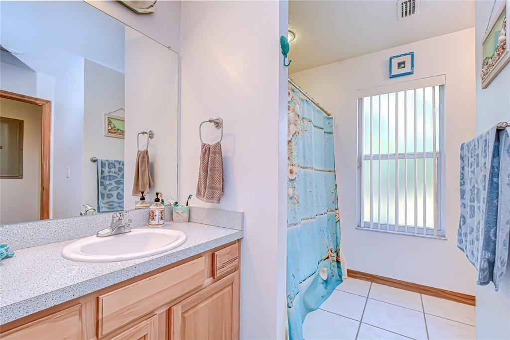 3719 Moores Lake Road Dover, FL 33527 - Photo 16 of 29 a bathroom with a sink and a mirror