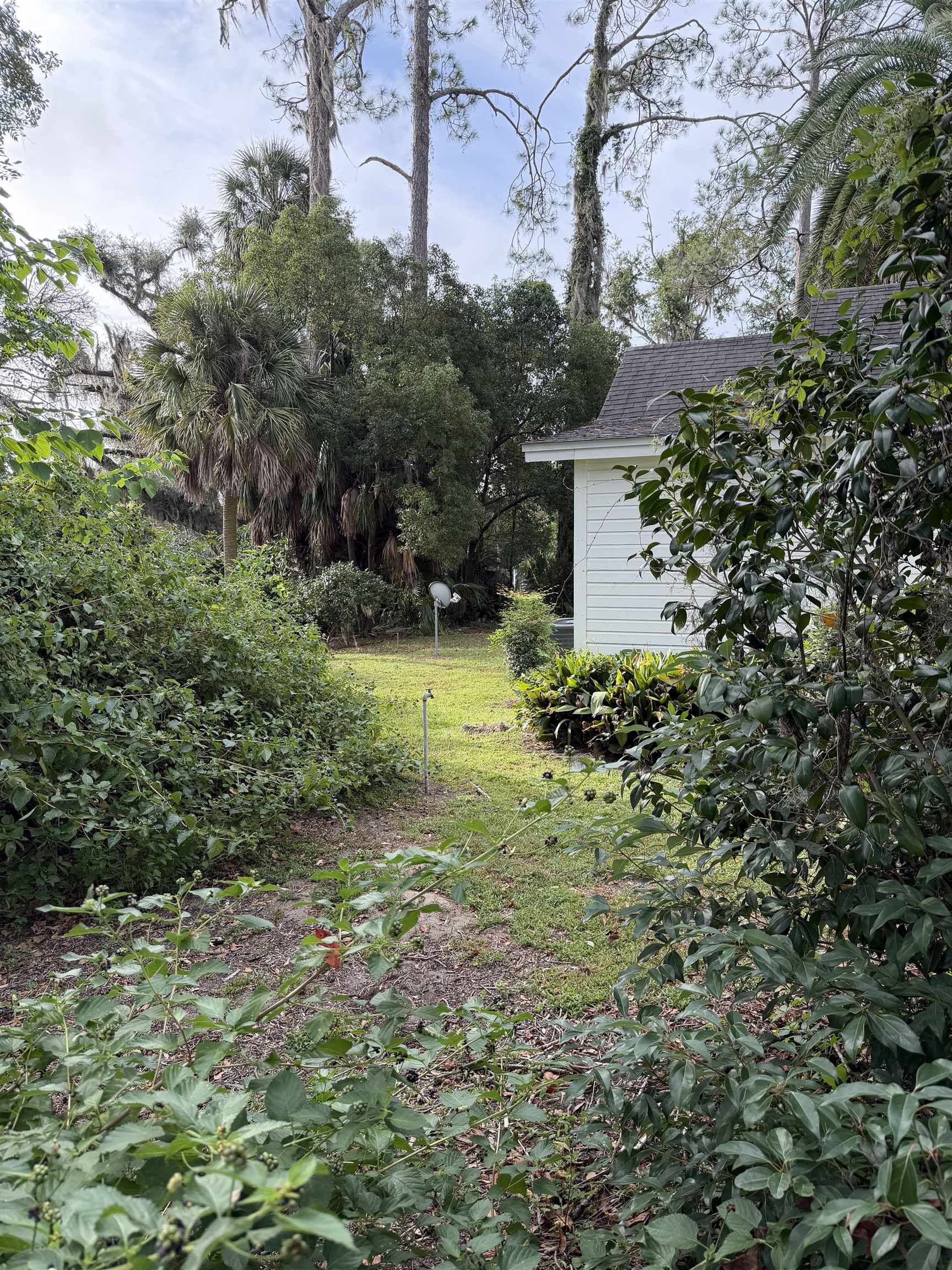 140 Southeast Rutledge Street Madison, FL 32340 - Photo 5 of 37