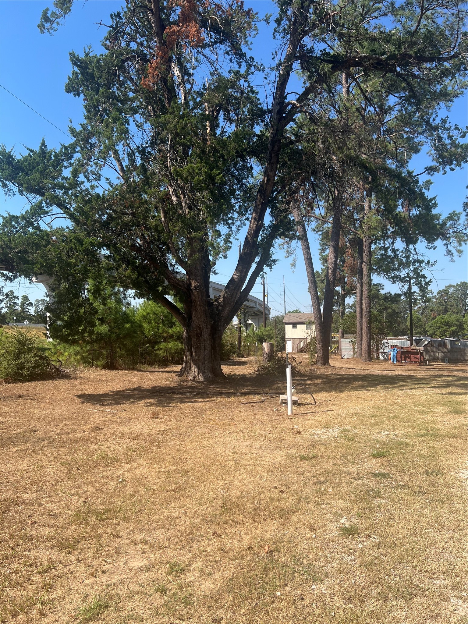 538 Lesa Lane Spring, TX 77373 - Photo 11 of 12 a house with trees in front of it