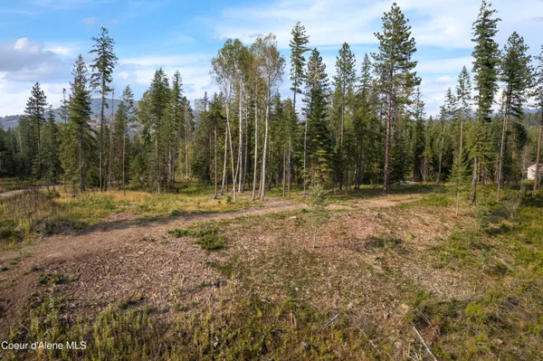 $299,000 | Nka Condor Drive, Clark Fork, ID 83811