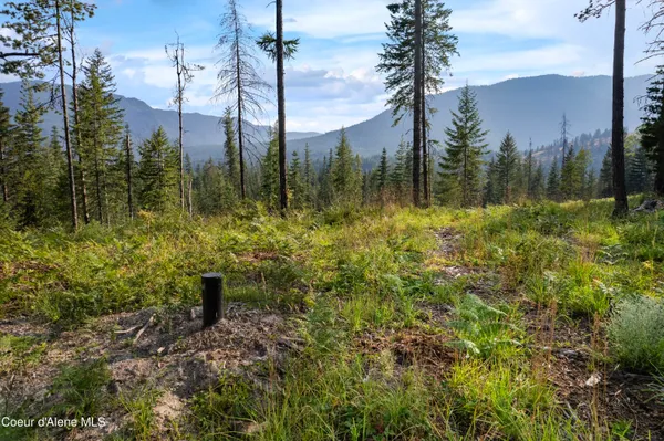 $299,000 | Nka Condor Drive, Clark Fork, ID 83811