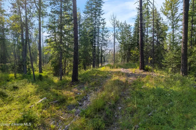 $299,000 | Nka Condor Drive, Clark Fork, ID 83811