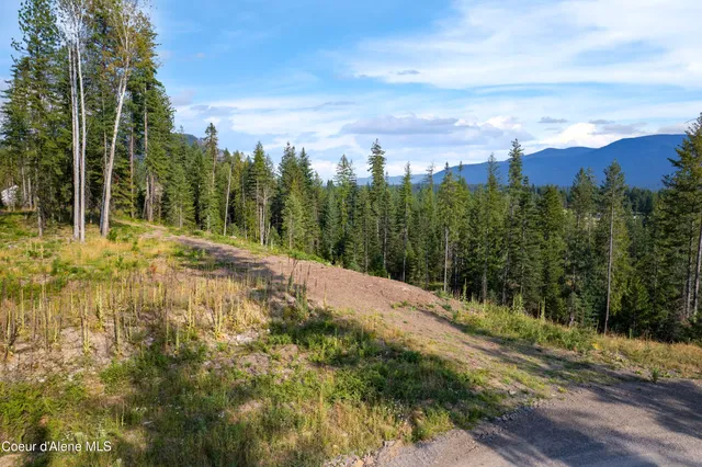 $299,000 | Nka Condor Drive, Clark Fork, ID 83811