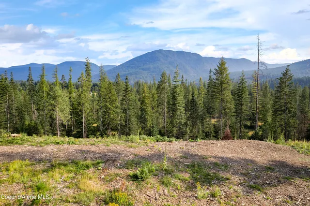 $299,000 | Nka Condor Drive, Clark Fork, ID 83811