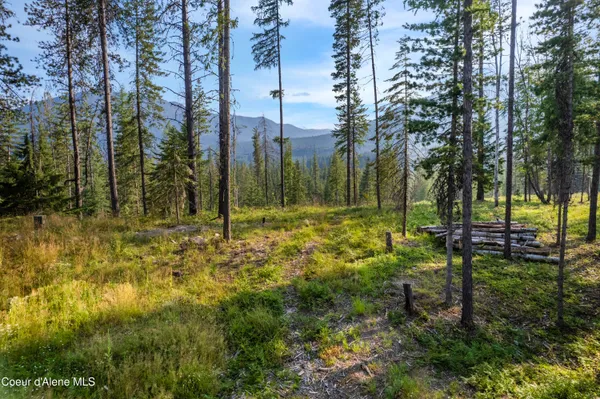 $299,000 | Nka Condor Drive, Clark Fork, ID 83811