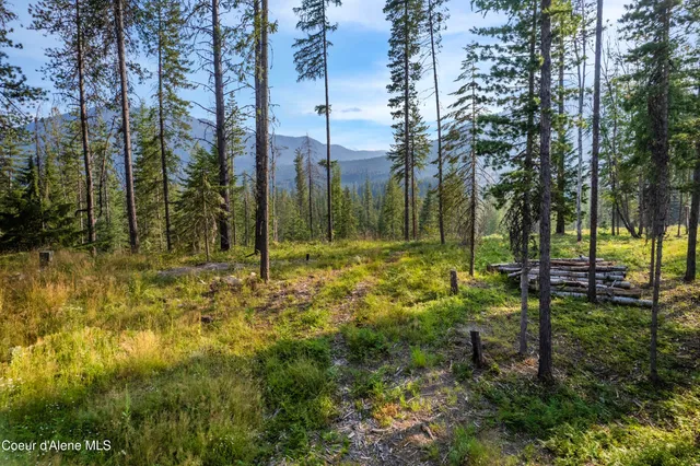 $299,000 | Nka Condor Drive, Clark Fork, ID 83811