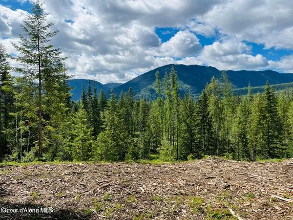 $299,000 | Nka Condor Drive, Clark Fork, ID 83811