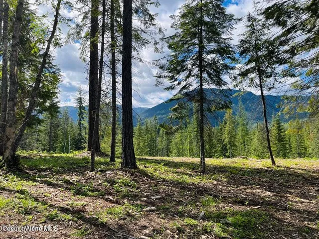 $299,000 | Nka Condor Drive, Clark Fork, ID 83811
