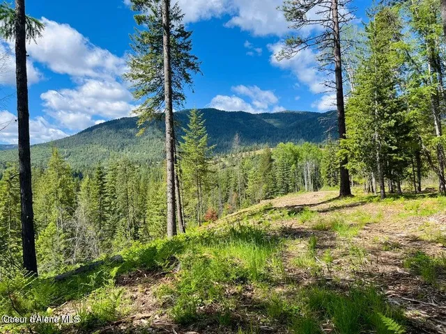 $299,000 | Nka Condor Drive, Clark Fork, ID 83811