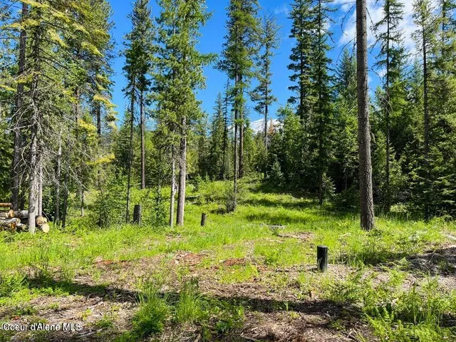 $299,000 | Nka Condor Drive, Clark Fork, ID 83811