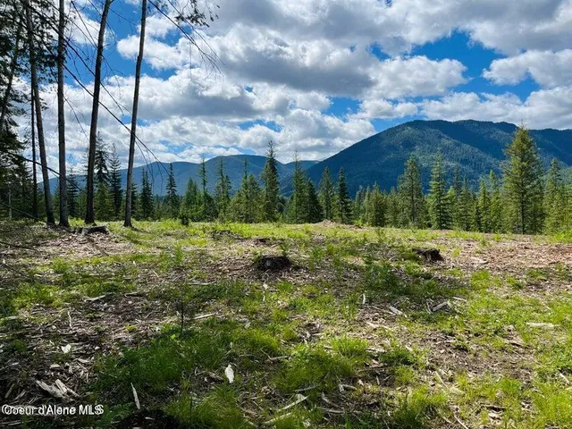 $299,000 | Nka Condor Drive, Clark Fork, ID 83811