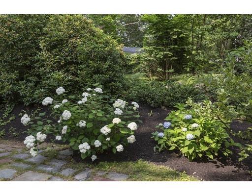 37 Tower Road Lexington, MA 02421 - Photo 20 of 20 a view of a tree