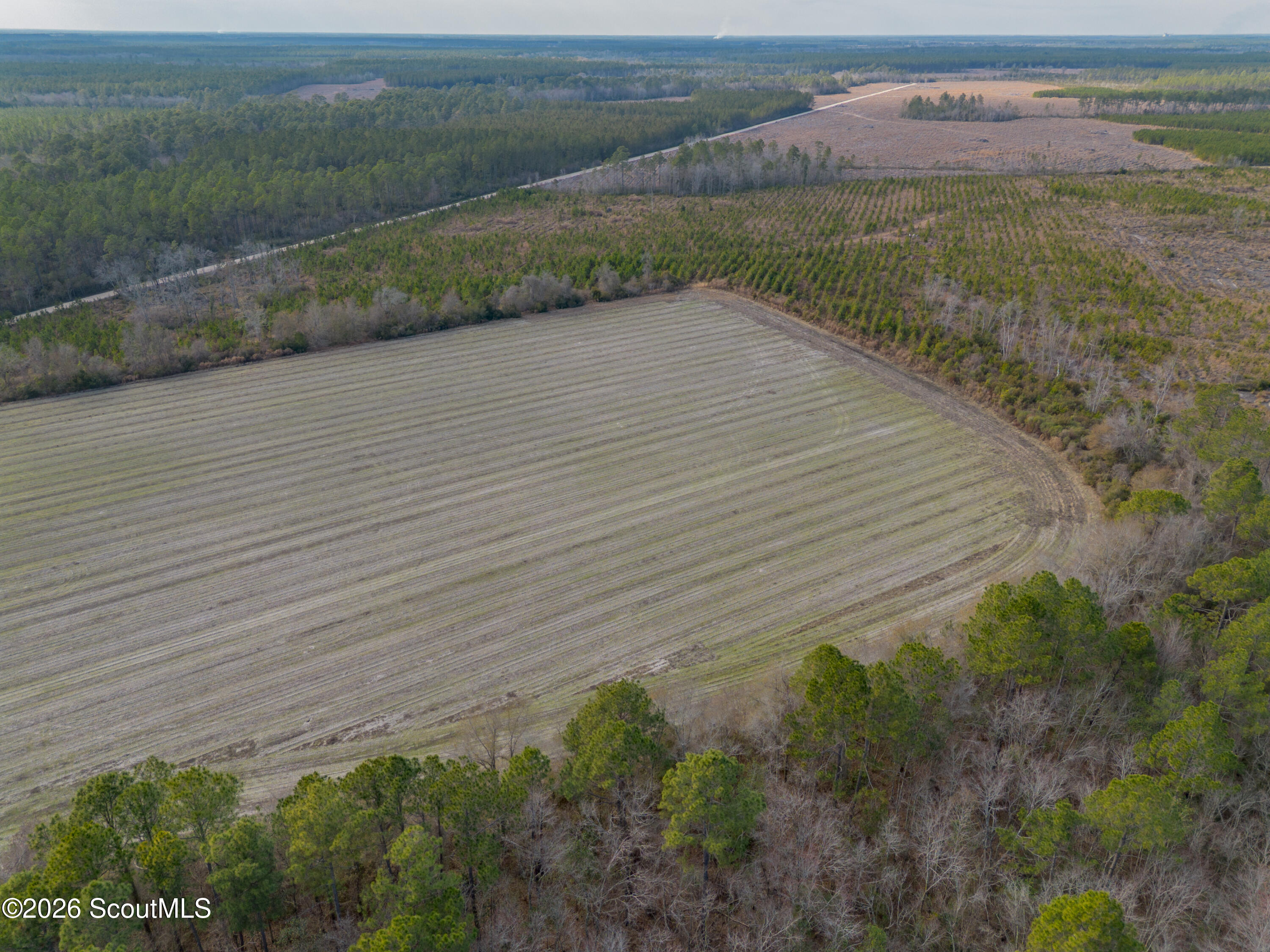 0 Reddish Road Odum, GA 31555 - Photo 31 of 46 230-AC-REDDISH-ODUM-30
