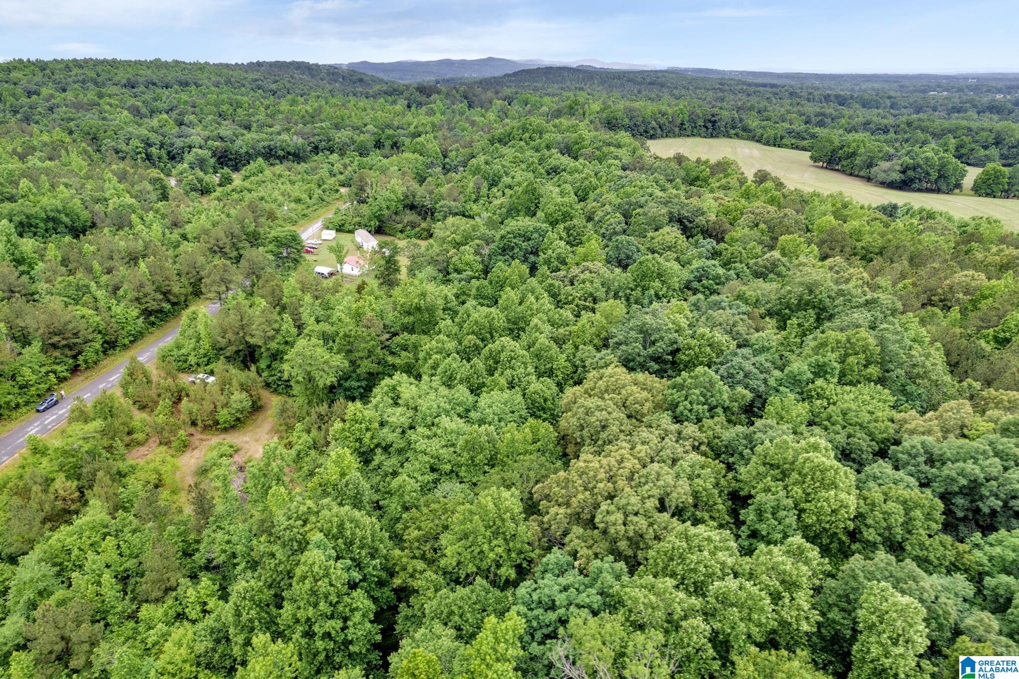 530 Mt Road Blountsville, AL 35031 - Photo 13 of 18