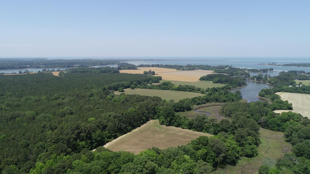 0 Cedar View Road Painter, VA 23420 - Photo 26 of 72