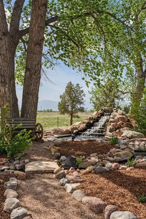 a view of a yard