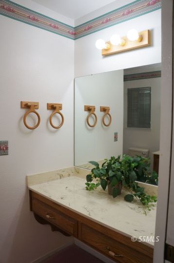325 Traci Lane Ridgecrest, CA 93555 - Photo 13 of 13 a room with a sink and a potted plant