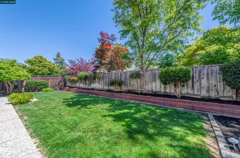 a view of a backyard with potted plants and tree