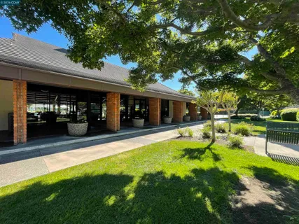 a view of a garden with large trees