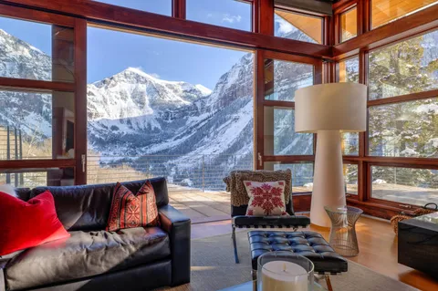 a view of a yard with plants and large trees