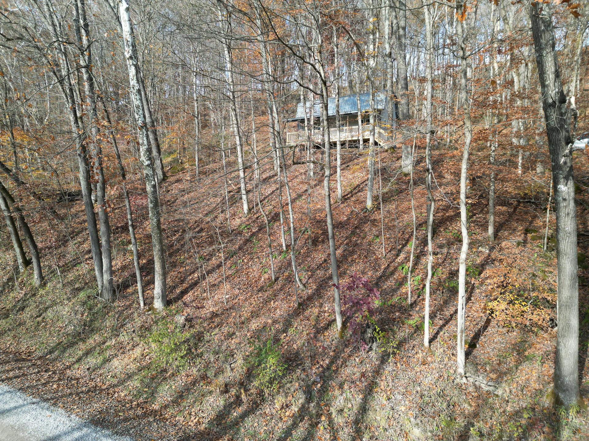 0 Keystone Road, Unit CREEKVIEW CABIN) Vinton, OH 45686 - Photo 47 of 95 CT-47
