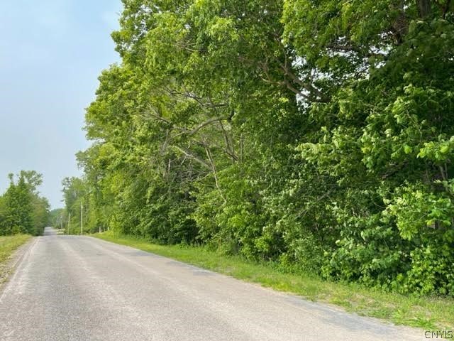Harp Rd Road Canastota, NY 13032 - Photo 4 of 4