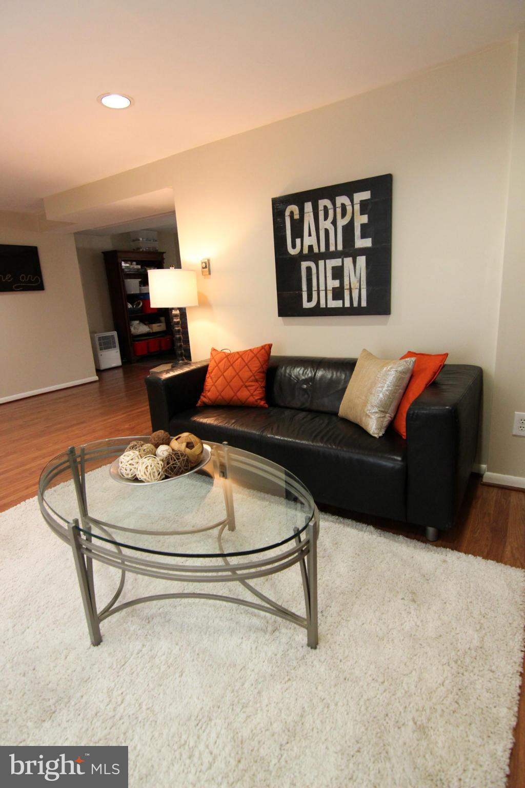 8904 Walden Road Silver Spring, MD 20901 - Photo 28 of 29 Basement