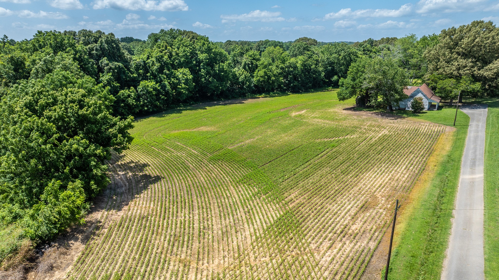 325 Harts Mill Road Atwood, TN 38220 - Photo 39 of 44
