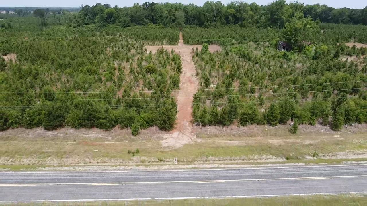 Lot 2 Attadale Road Blenheim, SC 29516 - Photo 4 of 8