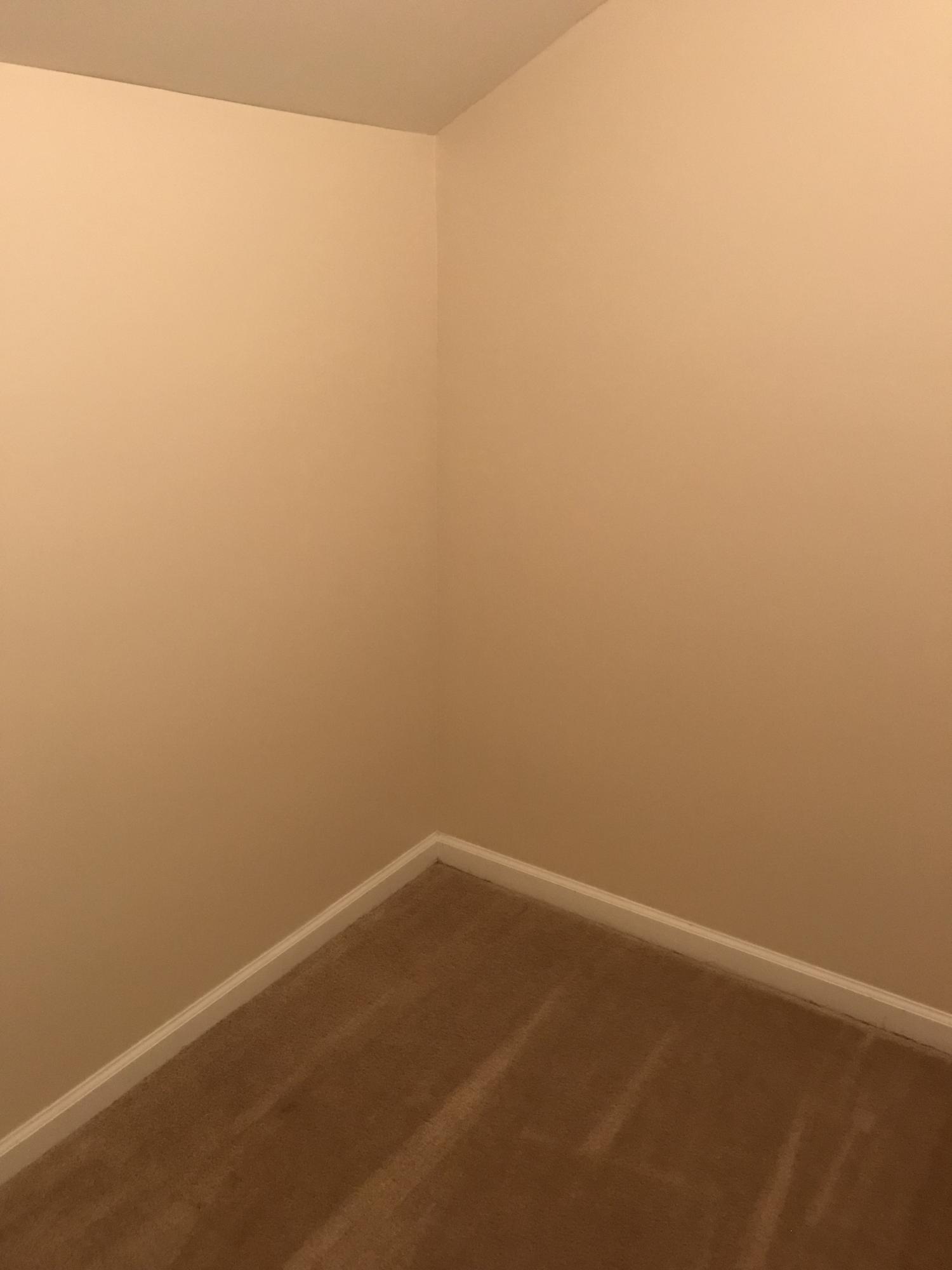 335 Flyway Road Goose Creek, SC 29445 - Photo 22 of 25 extra closet next to laundry