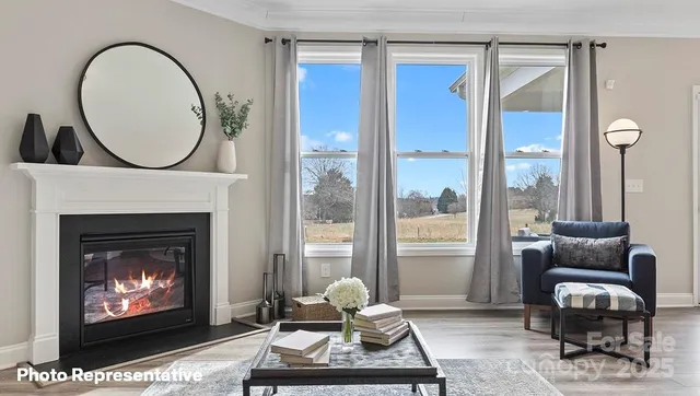 a living room with furniture a rug and a fireplace
