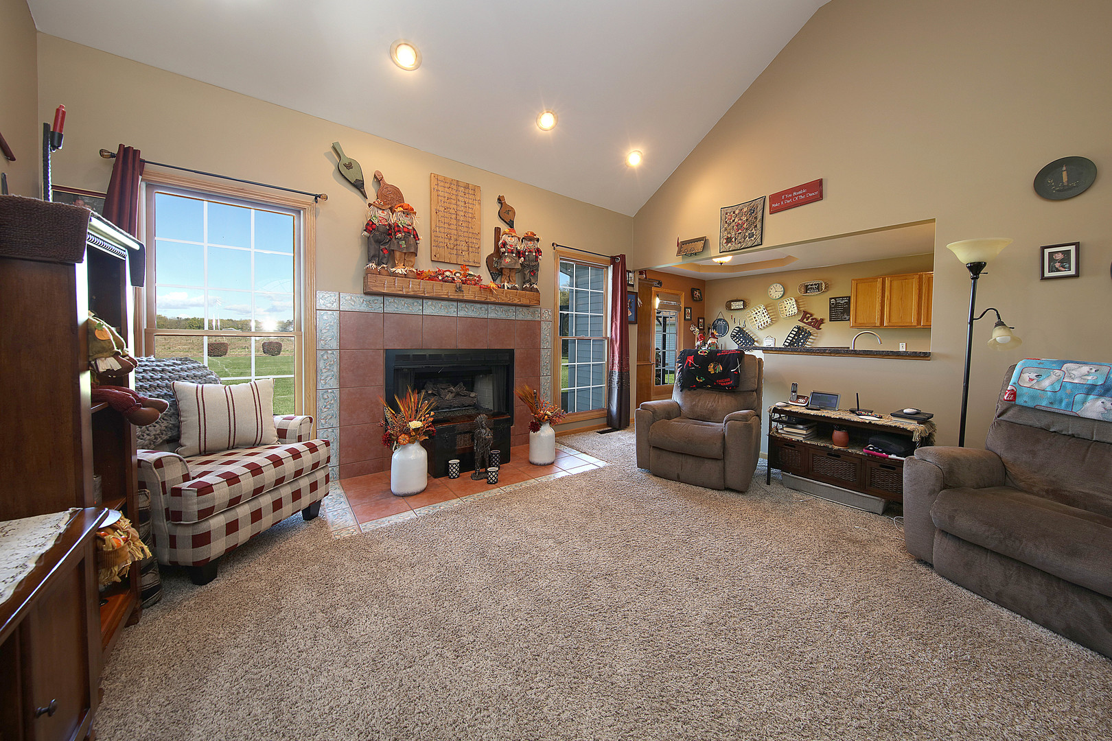 700 East Southmor Road Morris, IL 60450 - Photo 10 of 22 a living room with furniture and a fireplace