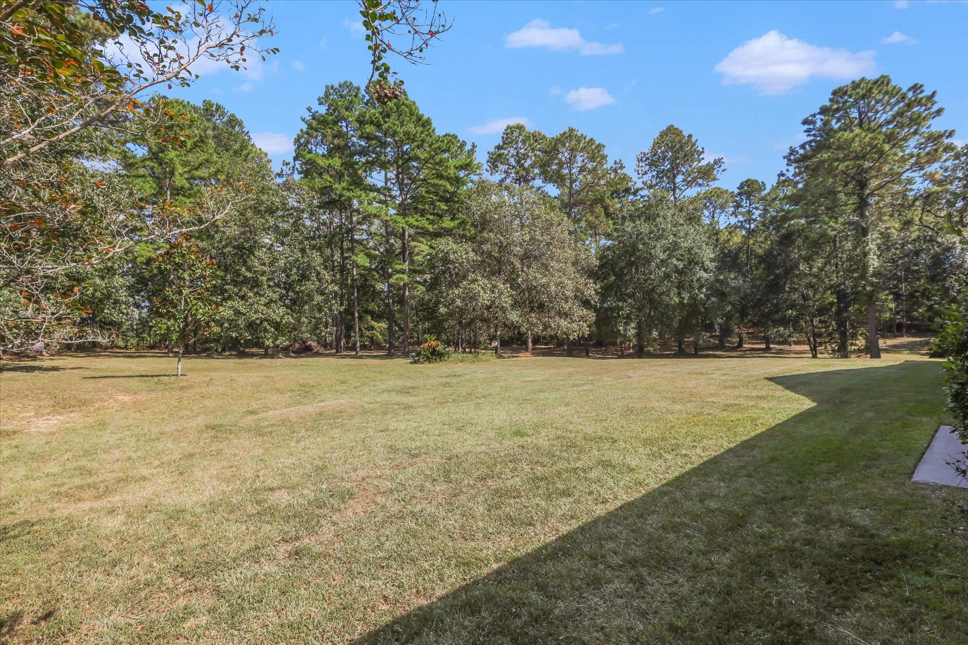 9080 Old Chemonie Road Tallahassee, FL 32309 - Photo 54 of 55
