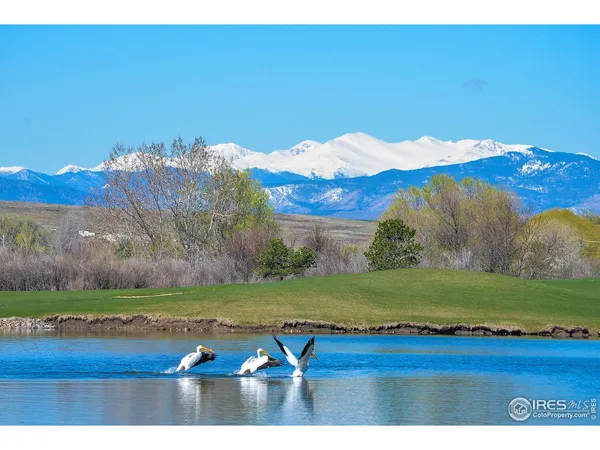 $369,000 | 2178 Cape Hatteras Drive, Unit 6, Windsor, CO 80550