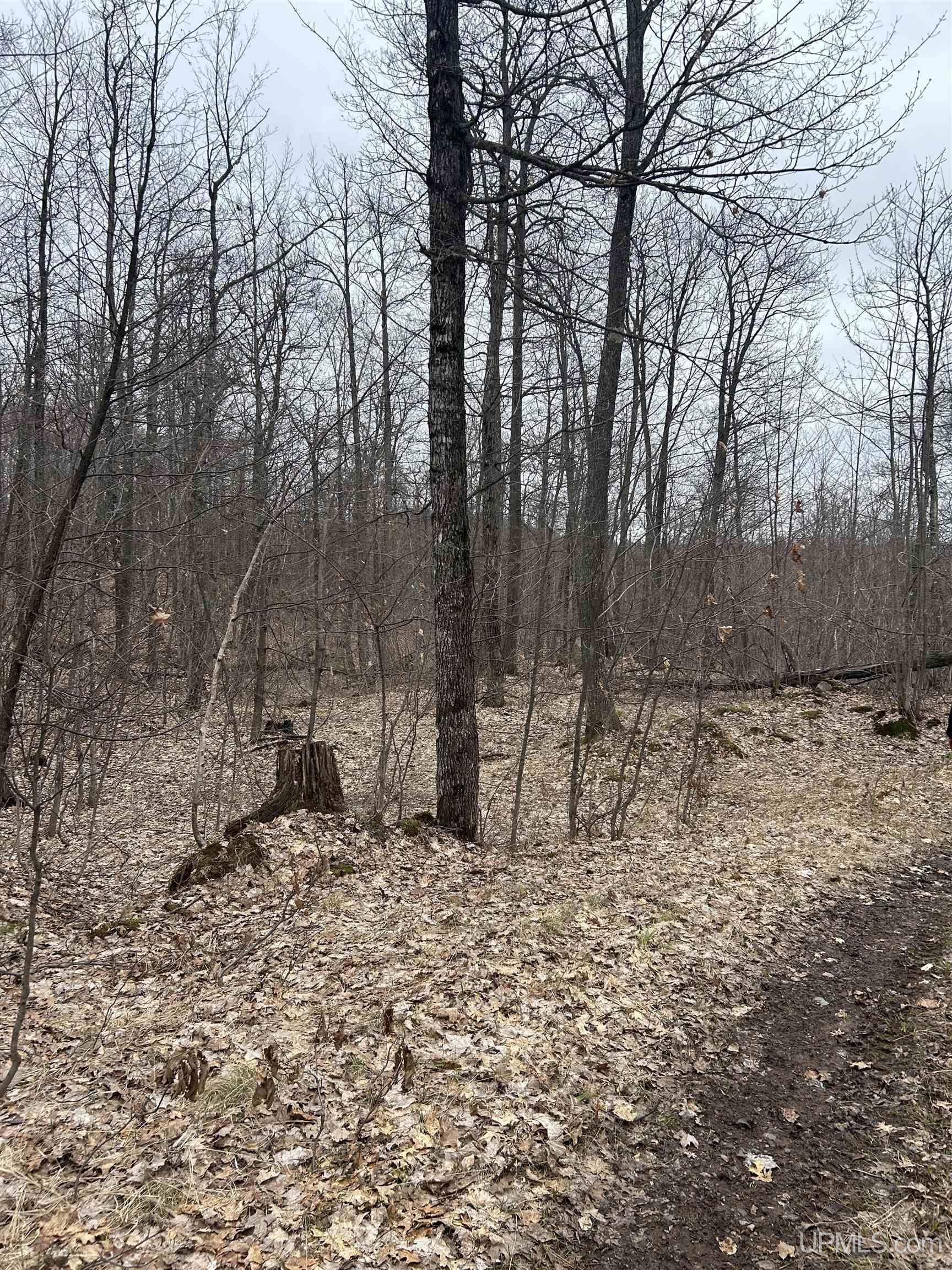 Near Krooks Road Negaunee, MI 49866 - Photo 14 of 15